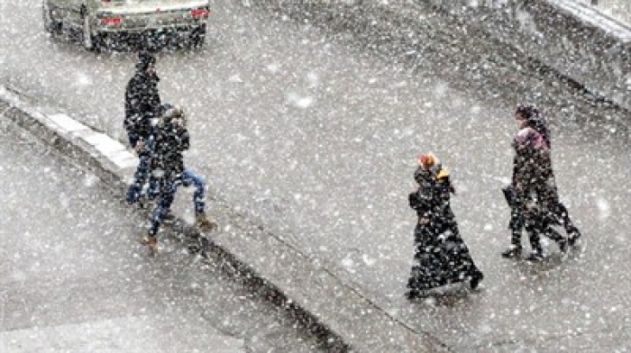 Doğu Anadolu ve Erzurum'da kar etkili oluyor