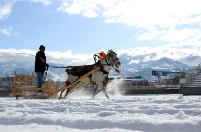 Erzurum’da nefes kesen atlı kızak yarışı