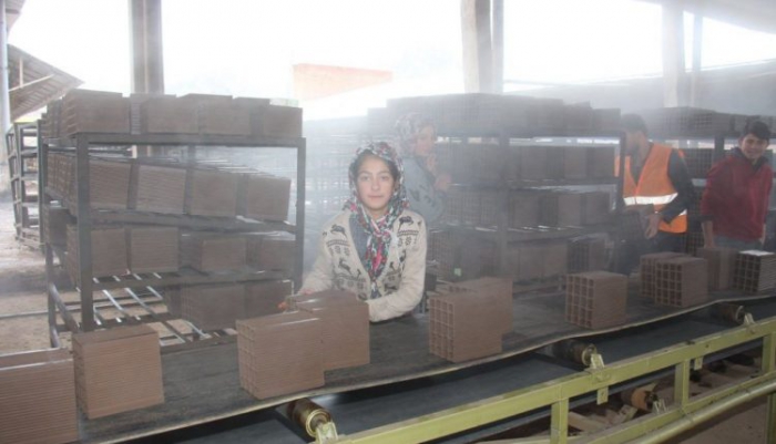 Erzurum Oltu’da tuğla fabrikası açıldı
