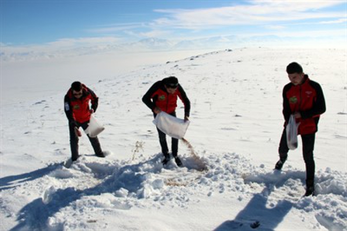 Erzurum'da Off road ekibinden yaban hayatına destek