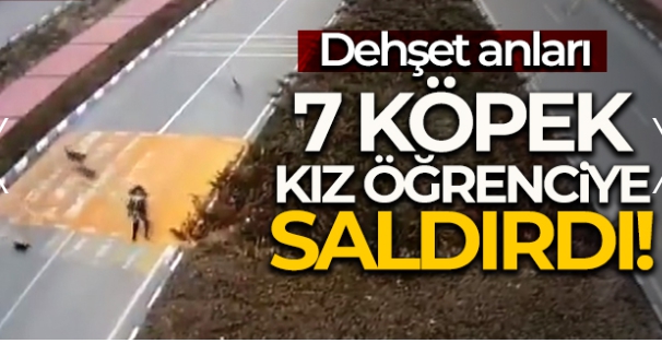 Korku dolu anlar!