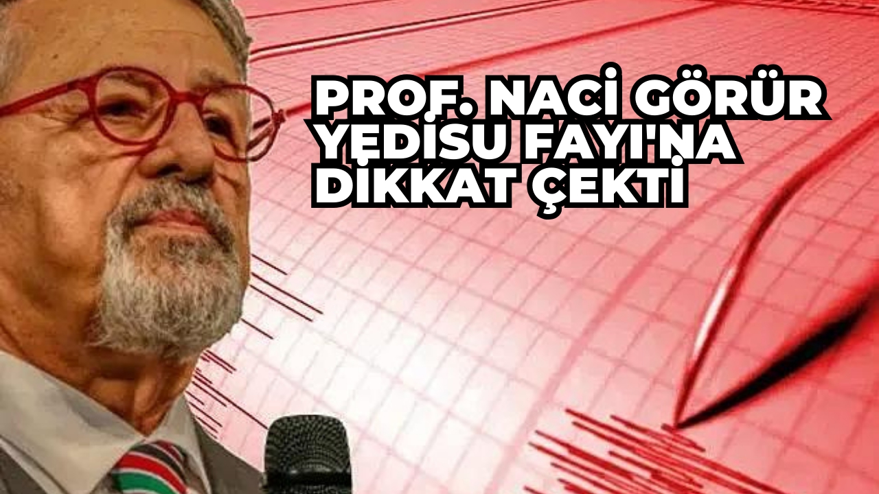Prof. Naci Görür Yedisu Fayı'na dikkat çekti