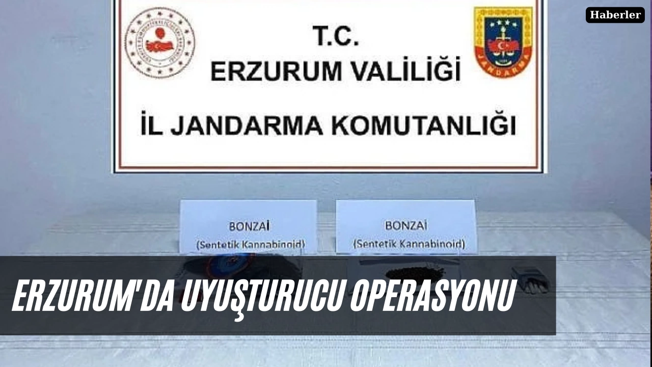 Erzurum'da uyuşturucu operasyonu