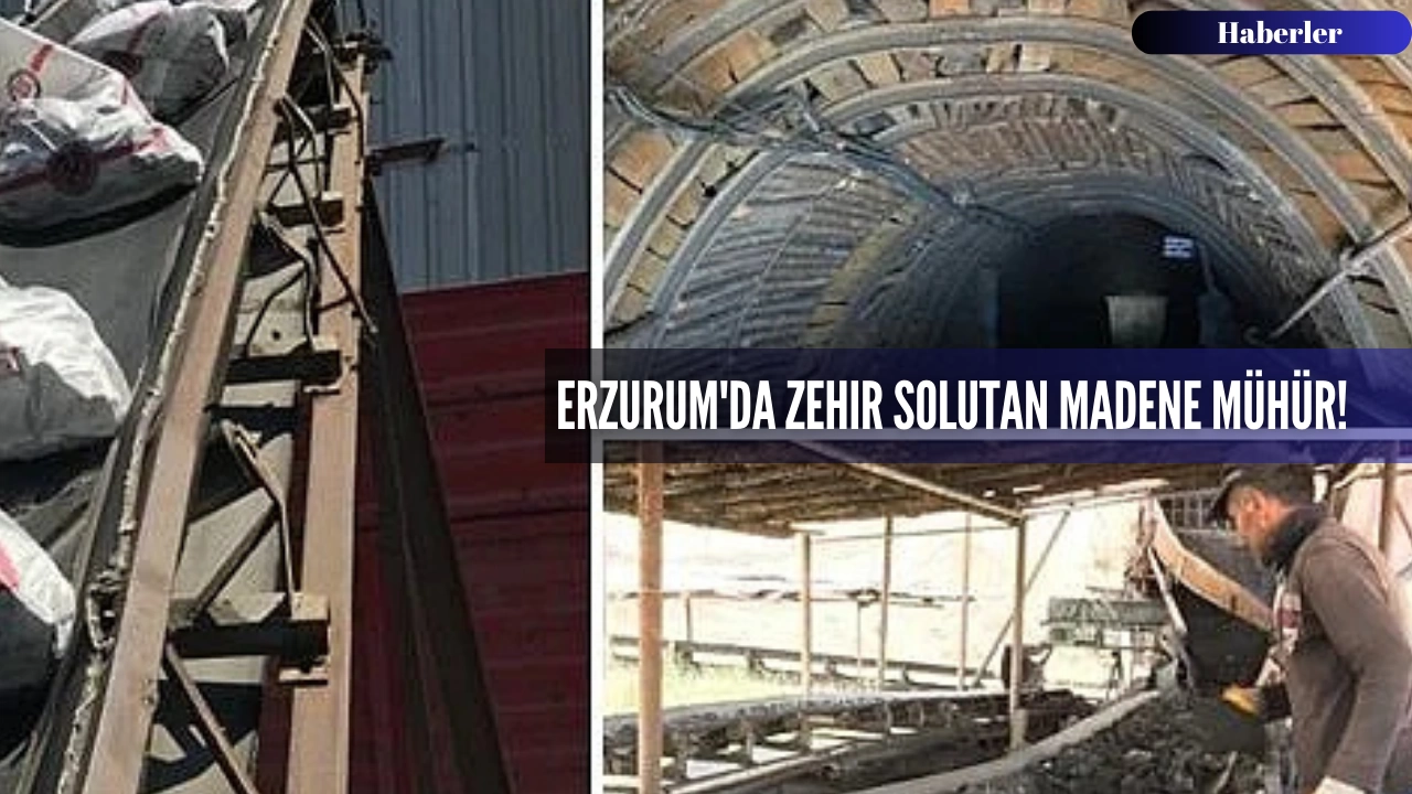 Erzurum'da zehir solutan madene mühür!