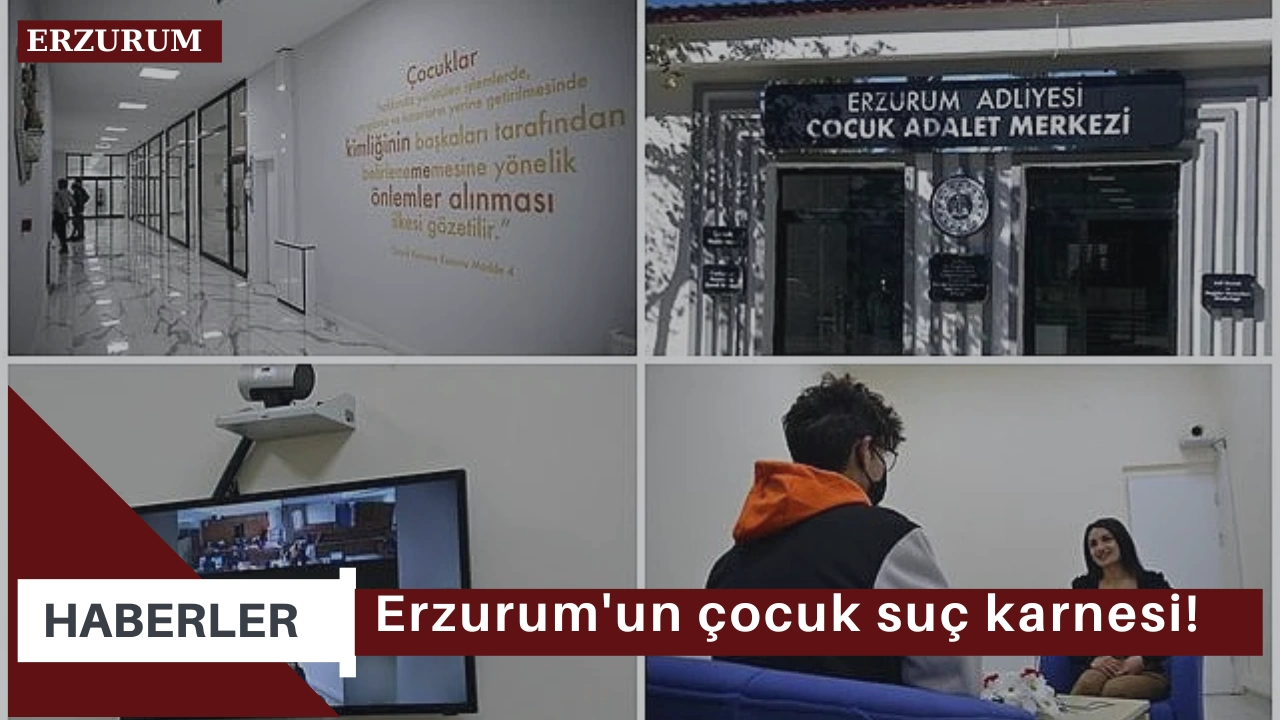 Erzurum'un çocuk suç karnesi!