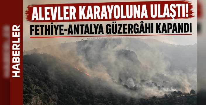 Alevler Karayoluna Ulaştı! Fethiye-Antalya Güzergâhı Kapandı