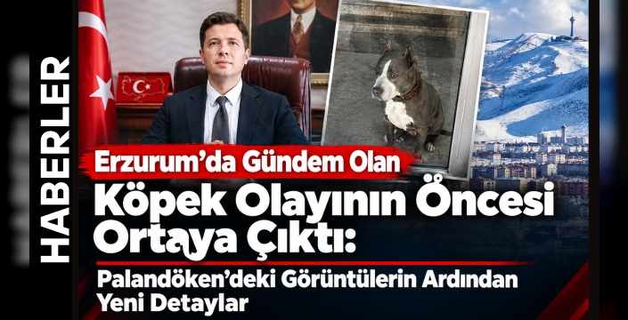 Erzurum’da Gündem Olan Köpek Olayının Öncesi Ortaya Çıktı: Palandöken’deki Görüntülerin Ardından Yeni Detaylar