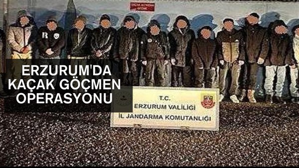 Erzurum'da kaçak göçmen operasyonu