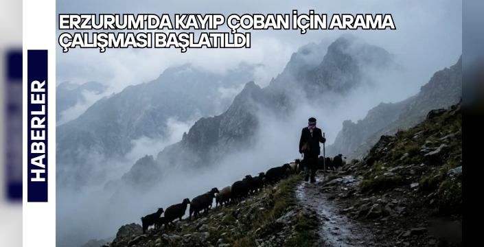 Erzurum’da kayıp çoban için arama çalışması başlatıldı
