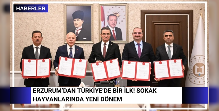 Erzurum’dan Türkiye’de Bir İlk! Sokak hayvanlarında yeni dönem